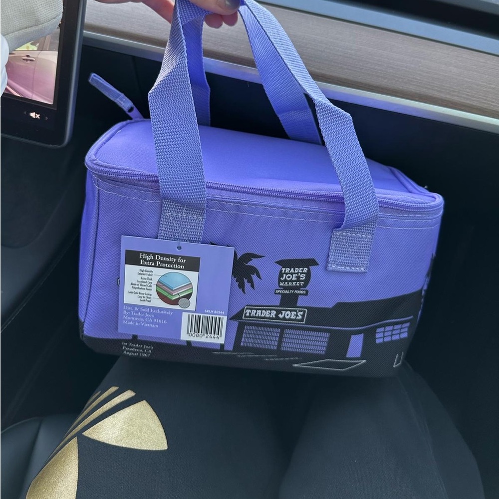 Trader Joes’s Mini Insulated Lunch Bag